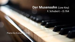 Der Musensohn low key – F Schubert D764 Piano Accompaniment [upl. by Ailsa]