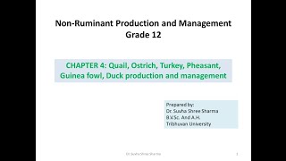 Chapter 4 Quail Ostrich Turkey Pheasant Guinea fowl Duck production and Management nrpm [upl. by Juliano284]