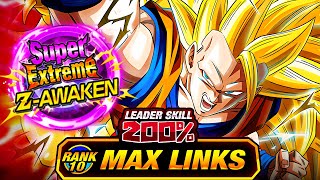 THE FIRST SUPER EZA IN DOKKAN HISTORY LEVEL 10 LINKS 100 AGL SSJ3 GOKU DBZ Dokkan Battle [upl. by Aryajay194]