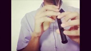 Scarborough Fair  Tin Whistle C [upl. by Adnohs]