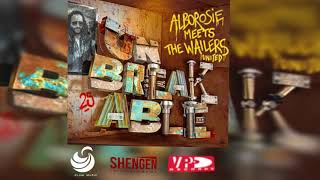 Alborosie ft Chronixx  Contradiction  Alborosie Meets The Wailers United UNBREAKABLE [upl. by Yeta]