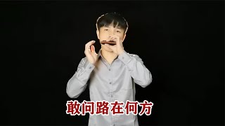 西游记主题曲《敢问路在何方》经典动听，回忆满满，口琴演奏 [upl. by Cora]