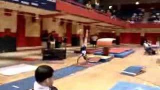 2007 EMPIRE STATE GAMES VAULT COURTNEY CONNORS GYMNASTICS [upl. by Nair]