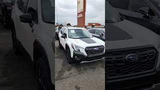 2024 Subaru Forester Wilderness Edition claremonttoyota [upl. by Enyehc]