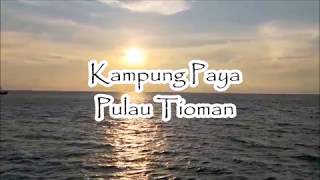 VLOG  KAMPUNG PAYA TIOMAN ISLAND TRIP18 [upl. by Iggep]