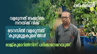 ടെറസിൽ ‘കുരുമുളകുമര’ങ്ങൾ വളരുന്നത് ബക്കറ്റിൽ നനയ്ക്ക് വിക്ക്– രാജ്കുമാറിൽനിന്ന് പഠിക്കാനേറെയുണ്ട് [upl. by Tnomyar]