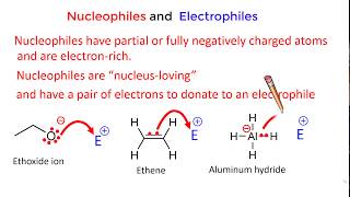 Nucleophiles and Electrophiles [upl. by Hancock]