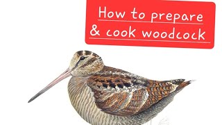 How to prepare amp cook woodcock [upl. by Cadman]