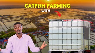 100 Catfish Farm Setup Cost UPDATE 2023 [upl. by Tehcac]