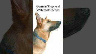 Watercolor GERMAN SHEPHERD Steps [upl. by Wind946]