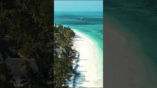 Experience the Magic of Zanzibar Uncover the Best Resorts and Experiences [upl. by Nirra]