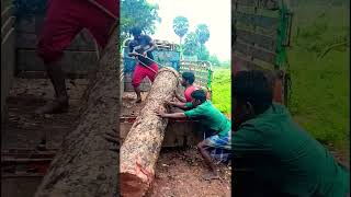 Sabariraja tree cutter pattukkottai 8072635013 service [upl. by Catha749]