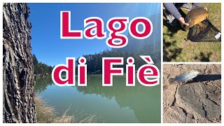 lago di Fie Pescare Fisching laghetti di alto adige [upl. by Ynogoham]