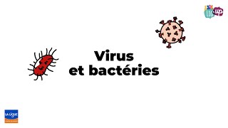 Virus et bactéries [upl. by Aymer]