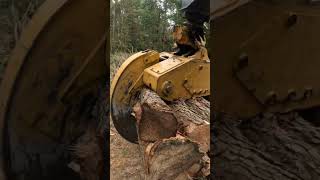 S350 Skidding 92424 skidder gopro logging automobile weiler s350 edit shorts [upl. by Sarchet679]