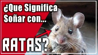 Sonar con ratas o que le ataca una  ¿Que significa sonar con ratas [upl. by Namialus895]