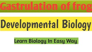 Gastrulation of frog  Developmental Biology zoology biology [upl. by Ihtraa168]