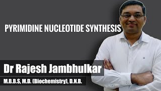 Pyrimidine nucleotide synthesis and degradation [upl. by Anirbak]