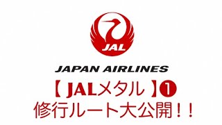 JALメタル 修行ルート大公開‼❶  初心者にもゼロからスタートできる方法 [upl. by Eiderf376]