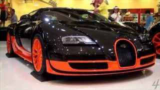 Bugatti Collection WRC Vitesse SuperSport Pur Sang Sang Noir amp Others [upl. by Froma]