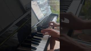 Wet hands  Minecraft on Piano piano minecraft [upl. by Blas]