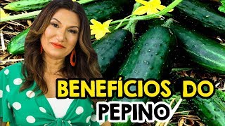 OS BENEFÍCIOS DO PEPINO  PEPINO COMO E QUANDO COMER [upl. by Karalee]