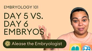 Embryo Grades and Success Rates  Day 5 vs Day 6 Embryos  Dandi Fertility [upl. by Horlacher]