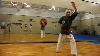 Pinan Shodan Kata done slowly [upl. by Findlay]