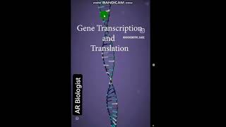 PROTEIN SYNTHESISDemonstrationExplanationUrduEnglish [upl. by Acinna]