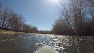 Canoeing the lower Conasauga River [upl. by Leahcimsemaj470]