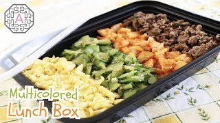 Korean Multicolored Lunch Box 4색 도시락 DoSiRak  Aeris Kitchen [upl. by Oak38]