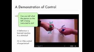 Visual Demonstrations and Introduction to Perceptual Control Theory [upl. by Chiarra]