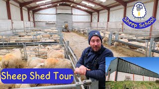 Sheep Shed Layout And Design Lambing Time Approaches [upl. by Eirhtug]