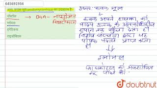 अन्त कवक मूल endomycorrhiza का उदाहरण है  12  सॉल्वड पेपर 2010  BIOLOGY  NEET PREVIOUS YE [upl. by Milson750]