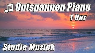 PIANO Instrumentale 1 uur Klassieke Muziek voor Studeren Afspeellijst Mooie Ontspannende Sudie lied [upl. by Keefer]