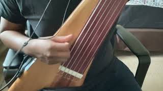 The Dark Beauty of Fretless Piezo Bass [upl. by Kramnhoj670]