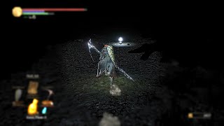 DS3  My First Real Jumpscare in a long time [upl. by Anivek]