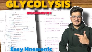 Glycolysis Biochemistry  Carbohydrate Metabolism Biochemistry  Glycolysis Pathway [upl. by Duff39]