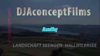 Rundflug Region Seengen  Hallwilersee [upl. by Anael]