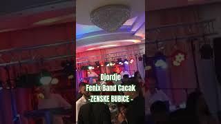 Menadzer 0653718370 Djordje amp Fenix Band Cacak Bendovi Za Svadbe Arandjovac orkestar [upl. by Heyra174]