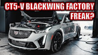 Cadillac CT5V Blackwing Shocks Everyone [upl. by Nylodnarb]