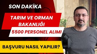 5500 PERSONEL ALIMI TARIM VE ORMAN BAKANLIĞI 2024 BAŞVURUSU NASIL YAPILIR kpss tercih kılavuzu [upl. by Enneles200]