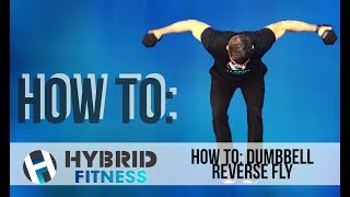 How to Dumbbell Reverse Fly [upl. by Alded]