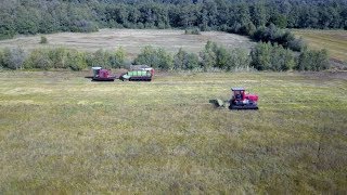 Wetlands Harvesting Equipment  HDS Dunnink Staphorst  Moeras  Veengebied maaien en oprapen [upl. by Norrahs305]