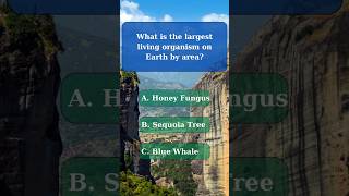 General knowledge quiz part 92 generalknowledge generalknowledgequiz challenge quiz gk funquiz [upl. by Kip681]