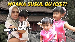 DETIKDETIK MOANA NYUSUL BU ICIS Ke China [upl. by Jonathan333]