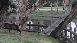 TelAvivYafo  Park Yarkon  9th december 2011 [upl. by Joshuah]