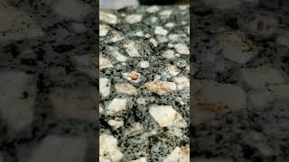 My Daily Rock 3 Porphyritic Andesite Utah geology pebbles rockhounding [upl. by Attiuqaj]