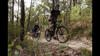 Warburton MTB Destination  Project update  Riding at Warburton [upl. by Auqinot]