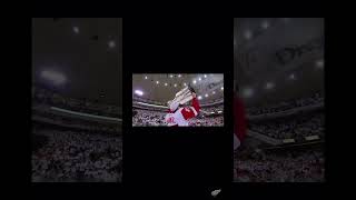 detroitredwings hockeytown stanleycup nhl [upl. by Babara]